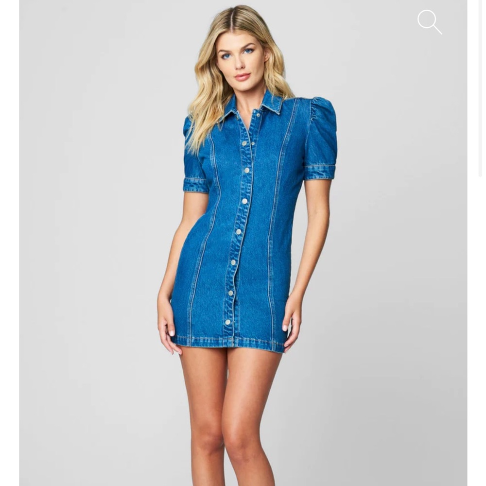 Blanknyc dress NWOT